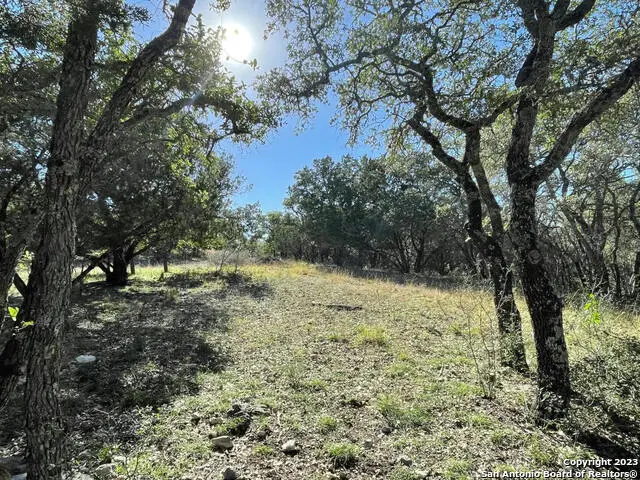 LOT 361 Palomino Spgs, Bandera, TX 78003 - #1