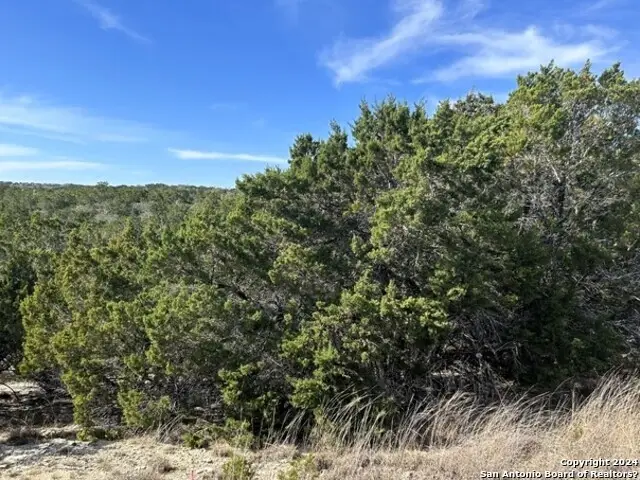 LOT 51 Overland Trail, Bandera, TX 78003 - #2