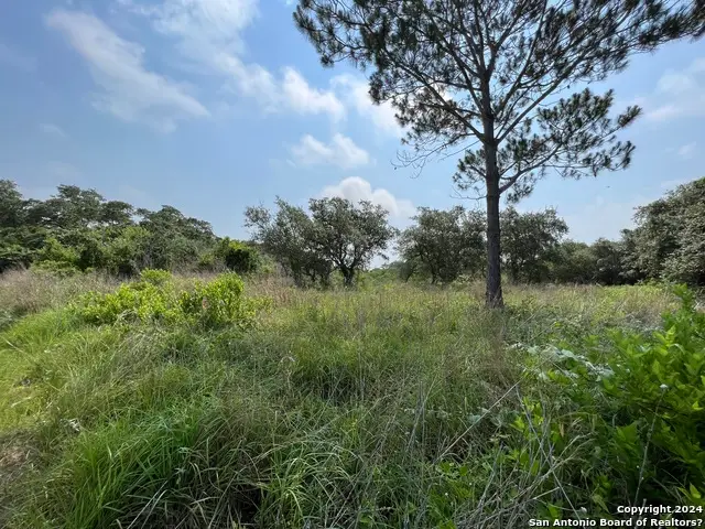 00 S 8th Street, Aransas Pass, TX 78336 - Image #3