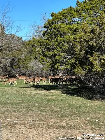 0 Deerwood Circle, Bandera, TX 78003 - #2