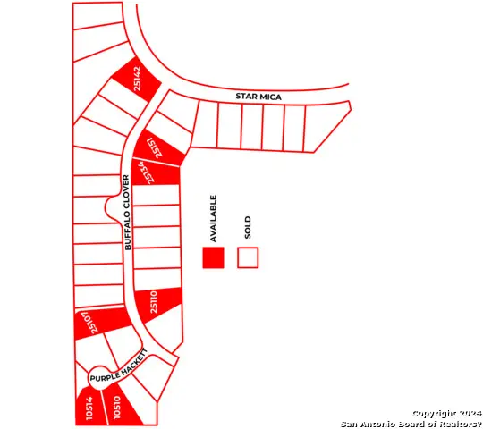 25134 Buffalo Clover, San Antonio, TX 78255 - Image #3