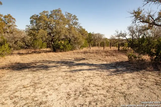 1100 Baptist Lane, Tarpley, TX 78883 - Image #3