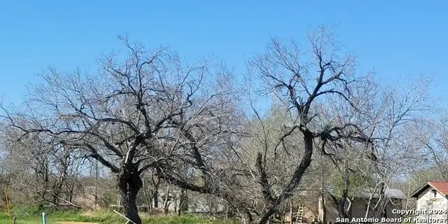 1610 Marion Ave, Jourdanton, TX 78026 - Image #3