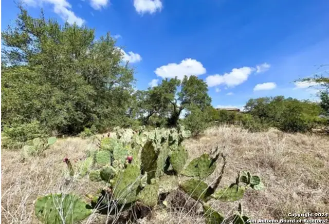 1245 Vintage Way, New Braunfels, TX 78132 - Image #1