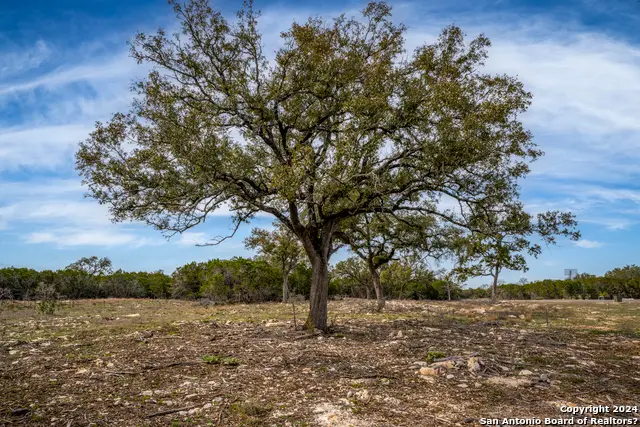 LOT 40 Sotol Ln, Boerne, TX 78006 - #3