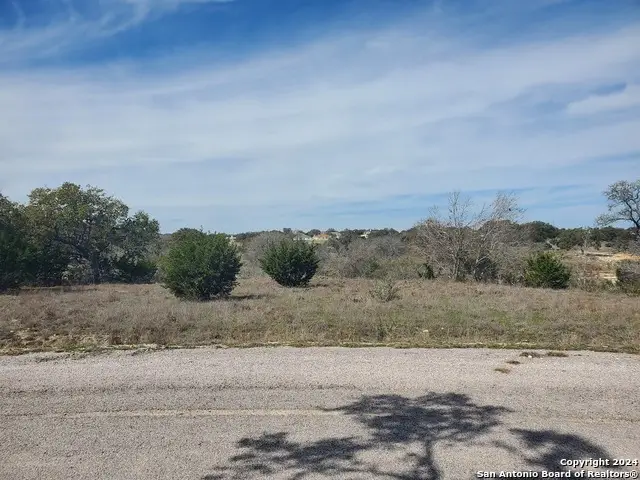136 W Eli Chandler, Blanco, TX 78606 - #1