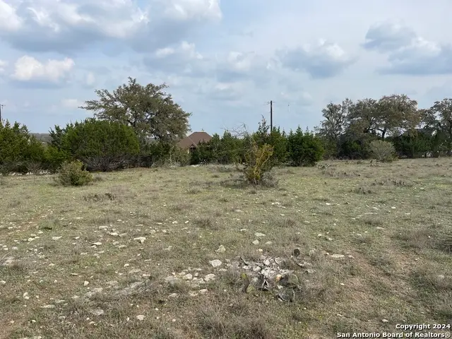 113 William Woods, Blanco, TX 78606 - Image #1