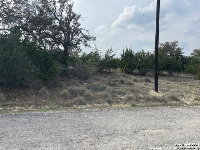 113 William Woods, Blanco, TX 78606 - Image #2