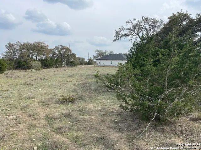 113 William Woods, Blanco, TX 78606 - Image #3