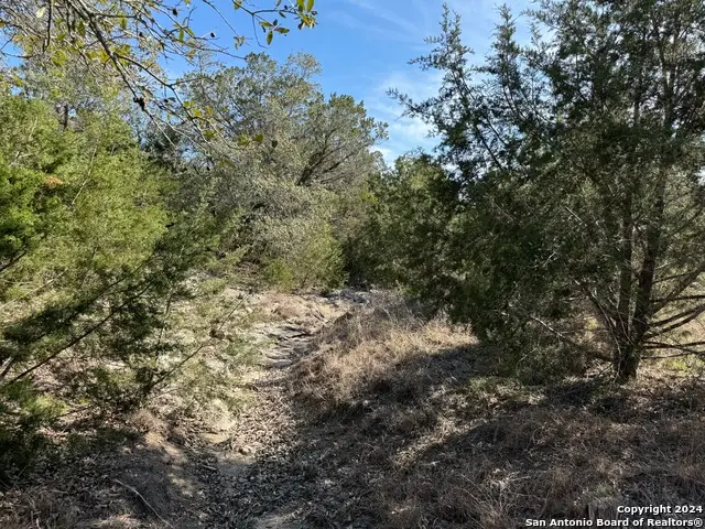 129 Stallion Estates, Spring Branch, TX 78070 - #2