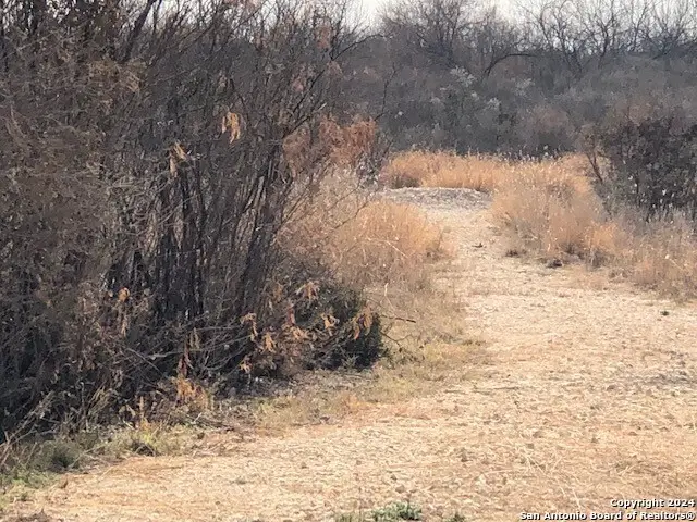 NATUS Natus, Fowlerton, TX 78021 - Image #3