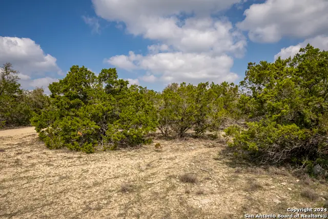 551 Deer Crk, Spring Branch, TX 78070 - Image #3