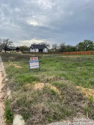 116 Bayberry Ct, La Vernia, TX 78121 - Image #3