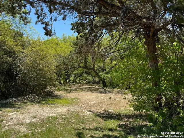 56 Eton Green Cir, San Antonio, TX 78257 - Image #3