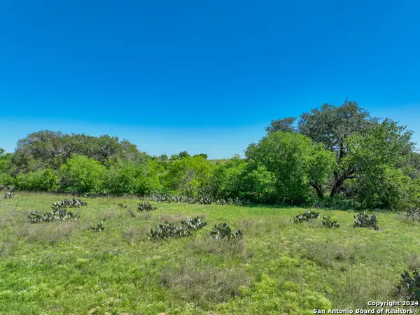 434 W Tank Hollow, Poteet, TX 78065