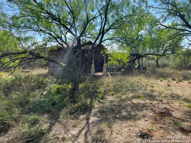 0 Carroll Road, Dilley, TX 78017 - Image #3