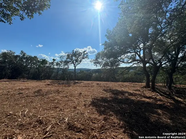 1720 Skyline Dr, Canyon Lake, TX 78666 - Image #1