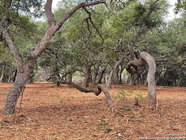 1720 Skyline Dr, Canyon Lake, TX 78666 - Image #3