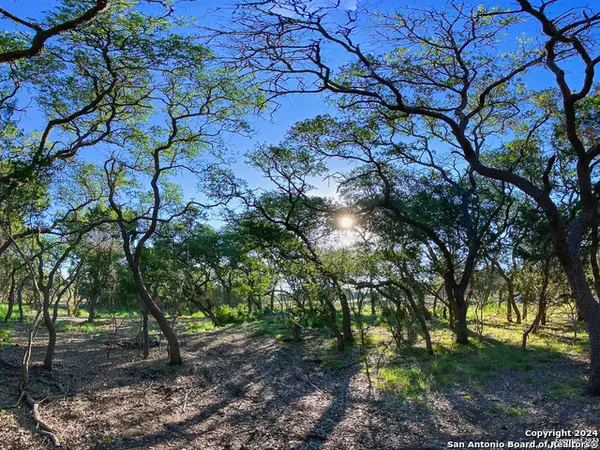 LOT 87 Creekside At Camp Verde, Center Point, TX 78010