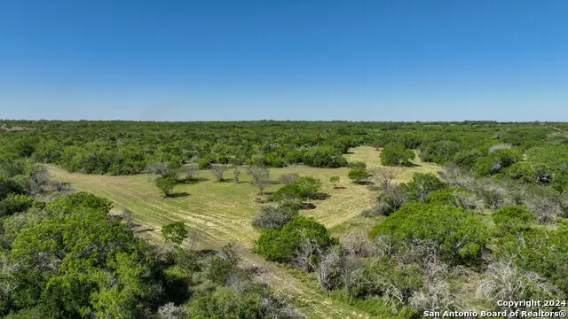 48.25 ACRES County Road 114, George West, TX 78466 - Image #2