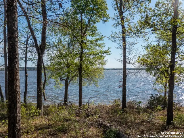 3108 Shadow Pine Drive, Larue, TX 75770 - Image #1