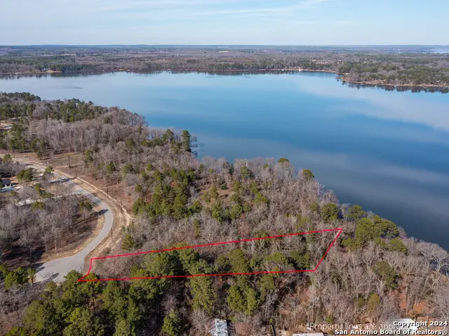 3104 Shadow Pine Drive, Larue, TX 75770 - Image #3