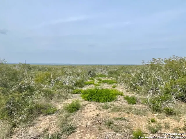 TRACT 14 & 15 Cr 1515, Moore, TX 78057 - Image #1