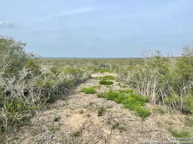 TRACT 14 & 15 Cr 1515, Moore, TX 78057 - Image #2