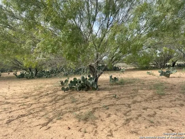 23 County Road 329, Jourdanton, TX 78026 - Image #2