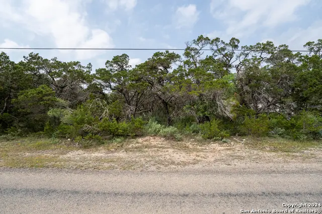 6136 Tanglewood Trl, Spring Branch, TX 78070 - #2