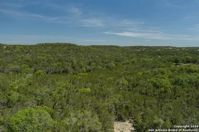 1175 Senisa Way, Spring Branch, TX 78070 - Image #2