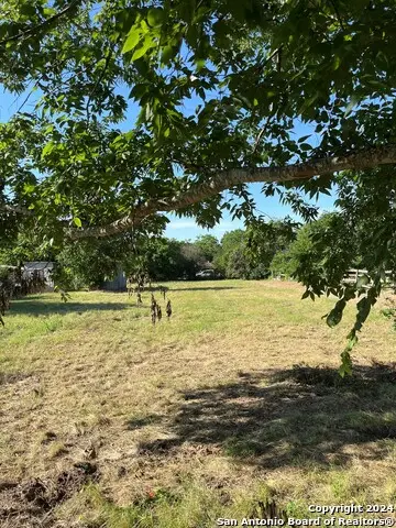 557 Collins St., Seguin, TX 78155