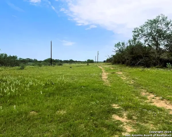 2009 County Road 3000, Pearsall, TX 78061 - #2