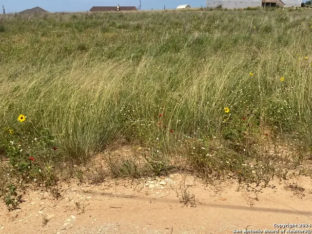 618 Forest Ln, La Vernia, TX 78121 - Image #2