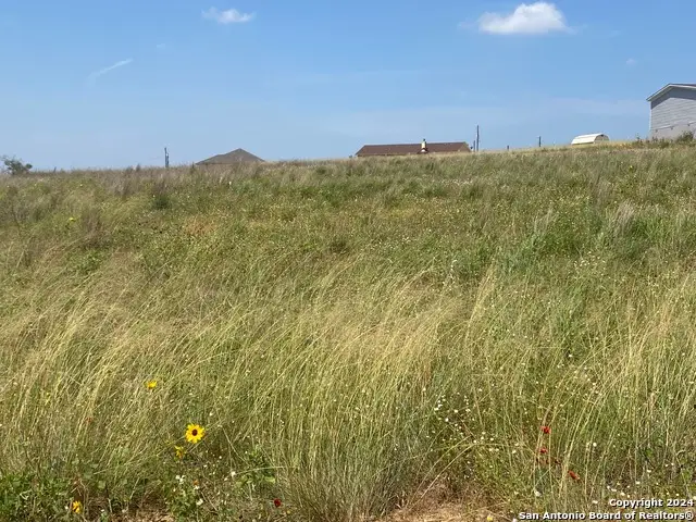 618 Forest Ln, La Vernia, TX 78121 - Image #3