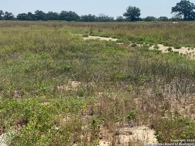 918 Fallbrook Ln, La Vernia, TX 78121 - Image #2