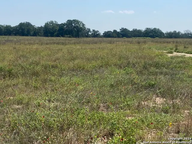 918 Fallbrook Ln, La Vernia, TX 78121 - Image #3