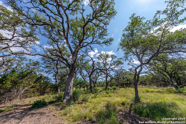 664 Annabelle Ave, Bulverde, TX 78163 - #3