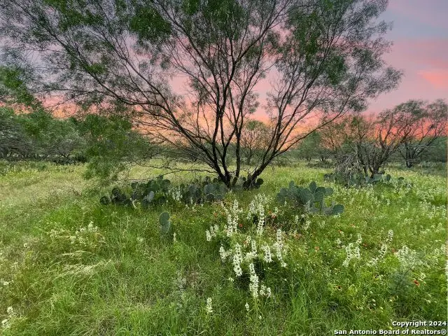 730 County Road 2530, Moore, TX 78057 - Image #2