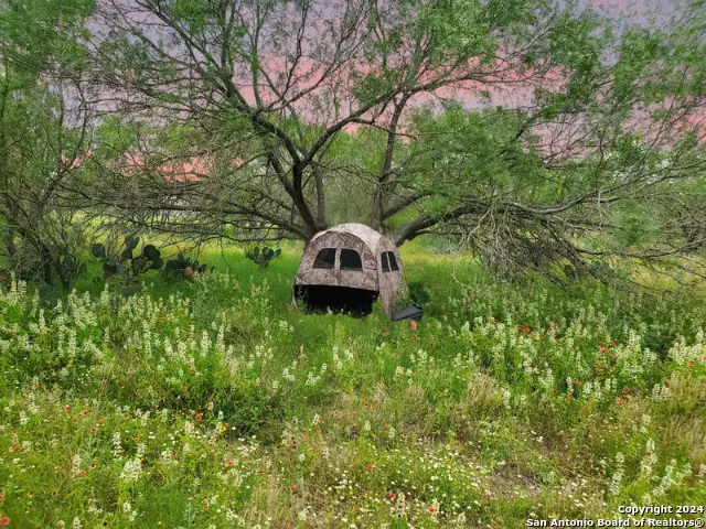 730 County Road 2530, Moore, TX 78057 - Image #3