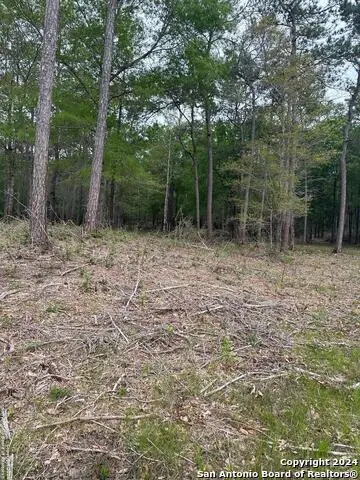 1035 Cub Dr., Kountze, TX 77625 - Image #3