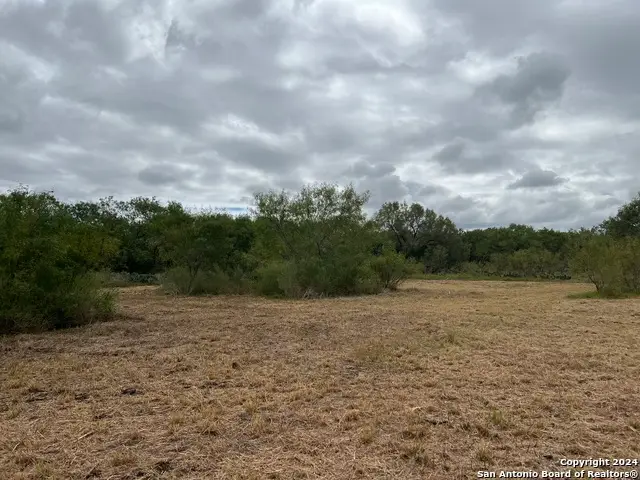 TBD S Hwy 281, Leming, TX 78064 - Image #1