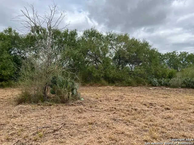 TBD S Hwy 281, Leming, TX 78064 - Image #2