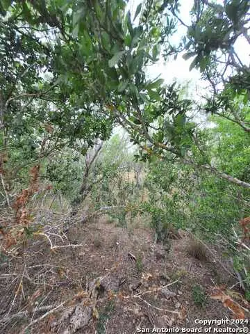 0 Cr 148, Kenedy, TX 78119 - Image #3