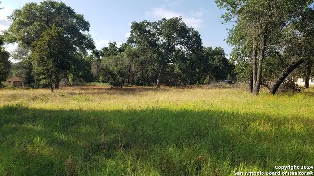 458 County Road 6868, Natalia, TX 78059 - Image #2