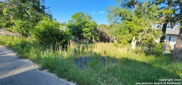 1697 Winding Creek, Spring Branch, TX 78070 - #2