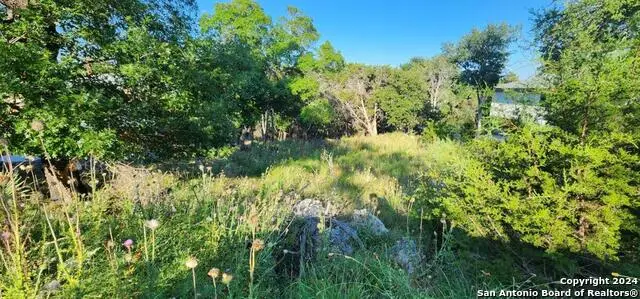 1697 Winding Creek, Spring Branch, TX 78070 - #3