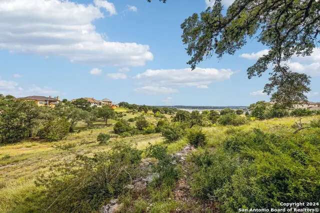 155 Obscure Way, Spring Branch, TX 78070 - Image #3