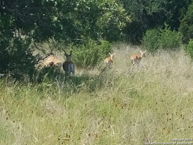 LOT 92 Summit Ridge Trail, Johnson City, TX 78636 - Image #3