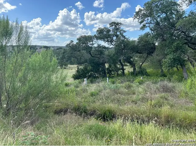 1728 Chardonnay, New Braunfels, TX 78132 - Image #3